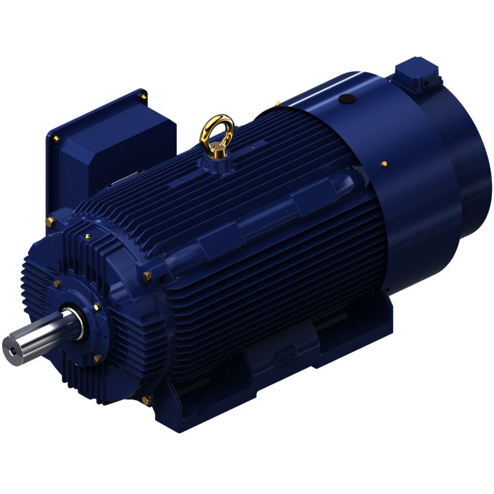 Encoder Motor, 300 HP, 3 Ph, 60 Hz, 460 V, 1800 RPM, 449T Frame, TEBC-AXIAL