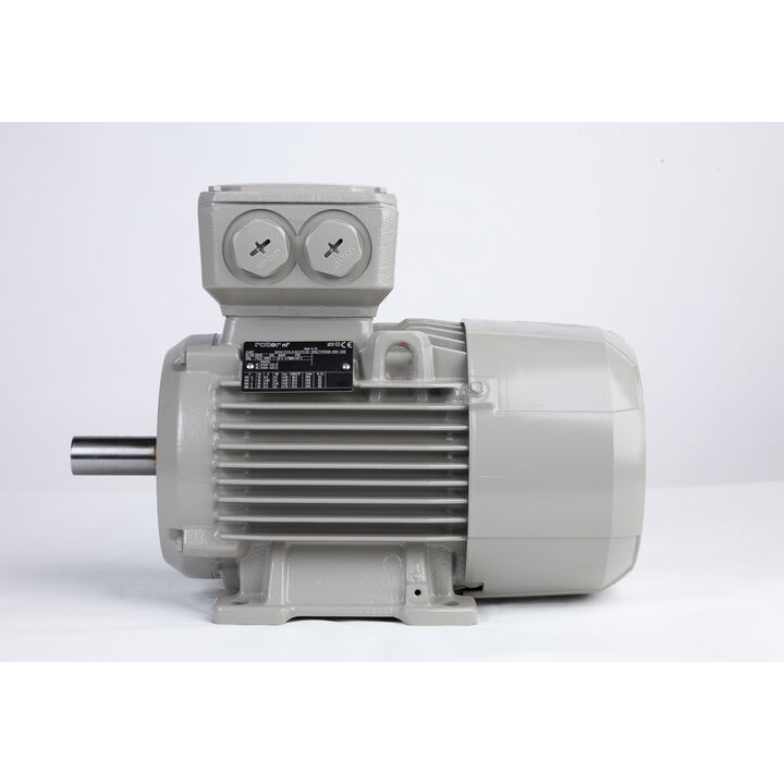3.00 kW General Purpose Low Voltage IEC Motor IE3, 3 phase, 1500 rpm, D400/Y690V 50Hz, 100L Frame B3, IC411