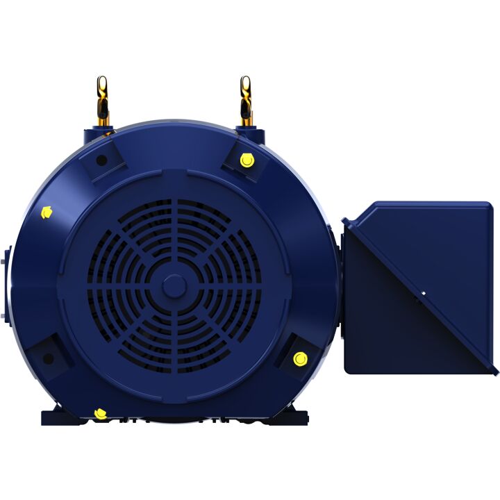 General Purpose Motor, 250 & 200 HP, 3 Ph, 60 & 50 Hz, 460 & 380 V, 900 & 750 RPM, 449TZ Frame, TEFC