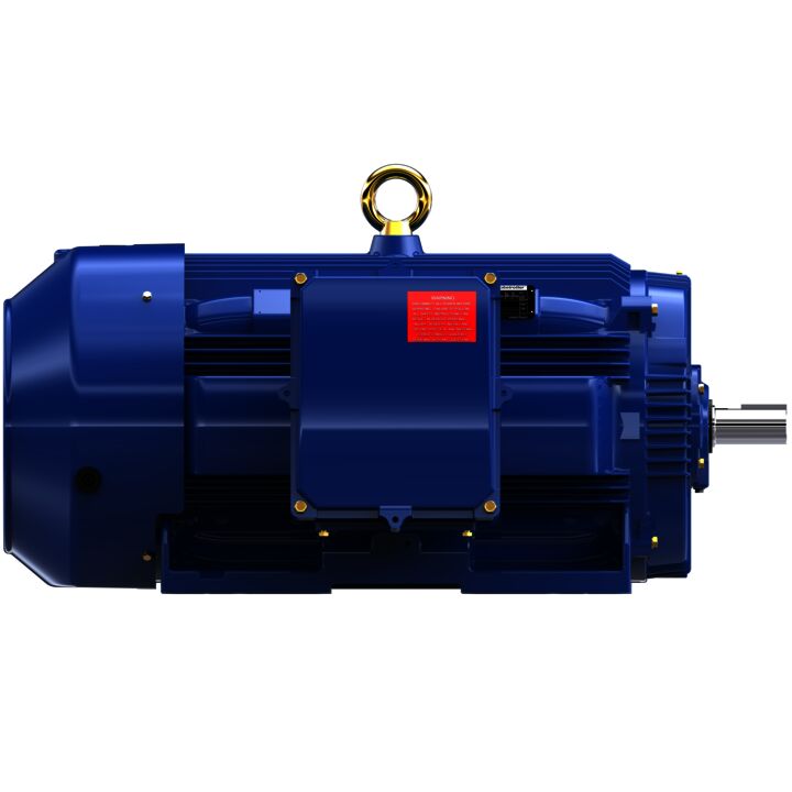 Severe Duty Motor, 250 HP, 3 Ph, 60 Hz, 460 V, 3600 RPM, 449TS Frame, TEFC