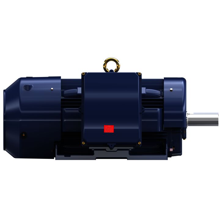 Severe Duty Motor, 300 HP, 3 Ph, 60 Hz, 460 V, 1200 RPM, 449T Frame, TEFC