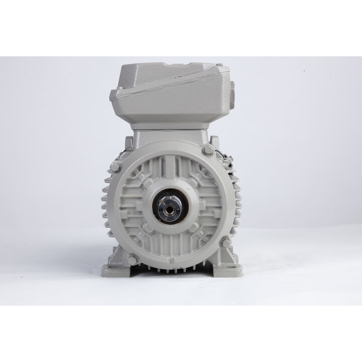 3.00 kW General Purpose Low Voltage IEC Motor IE3, 3 phase, 1500 rpm, D400/Y690V 50Hz, 100L Frame B3, IC411