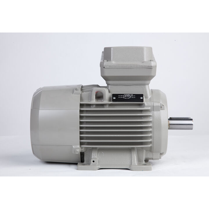 3.00 kW General Purpose Low Voltage IEC Motor IE3, 3 phase, 1500 rpm, D400/Y690V 50Hz, 100L Frame B3, IC411