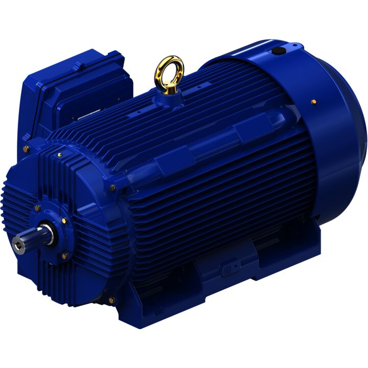 Severe Duty Motor, 250 HP, 3 Ph, 60 Hz, 460 V, 3600 RPM, 449TS Frame, TEFC