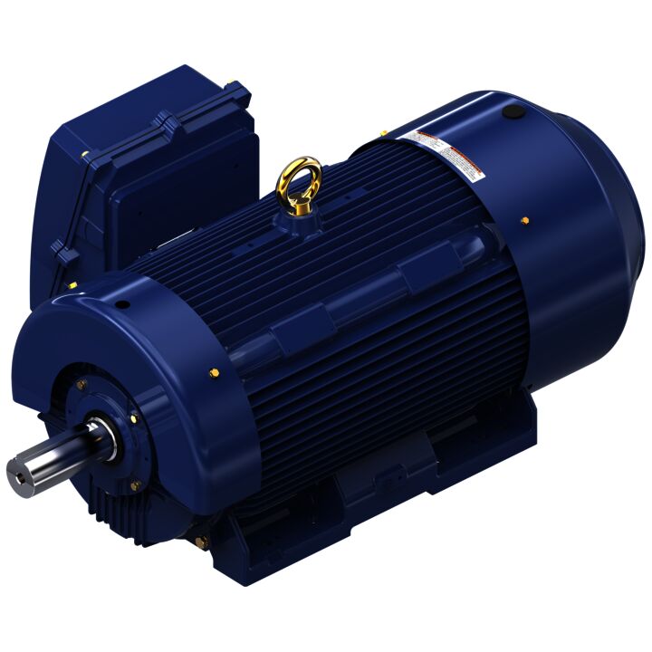 General Purpose Motor, 400 & 350 HP, 3 Ph, 60 & 50 Hz, 460 & 380 V, 1800 & 1500 RPM, 449T Frame, TEFC