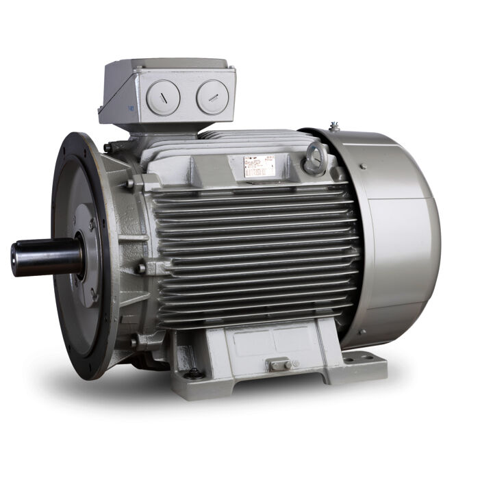 3.00 kW General Purpose Low Voltage IEC Motor IE3, 3 phase, 3000 rpm, D400/Y690V 50Hz, 100L Frame B34 incl. rain canopy, IC411