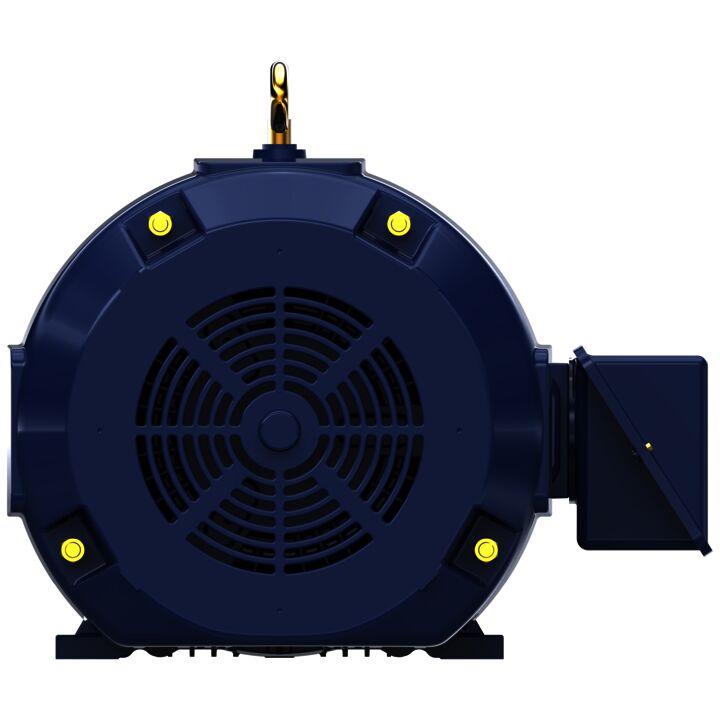 General Purpose Motor, 100 & 75 HP, 3 Ph, 60 & 50 Hz, 460 & 380 V, 900 & 750 RPM, 445T Frame, TEFC