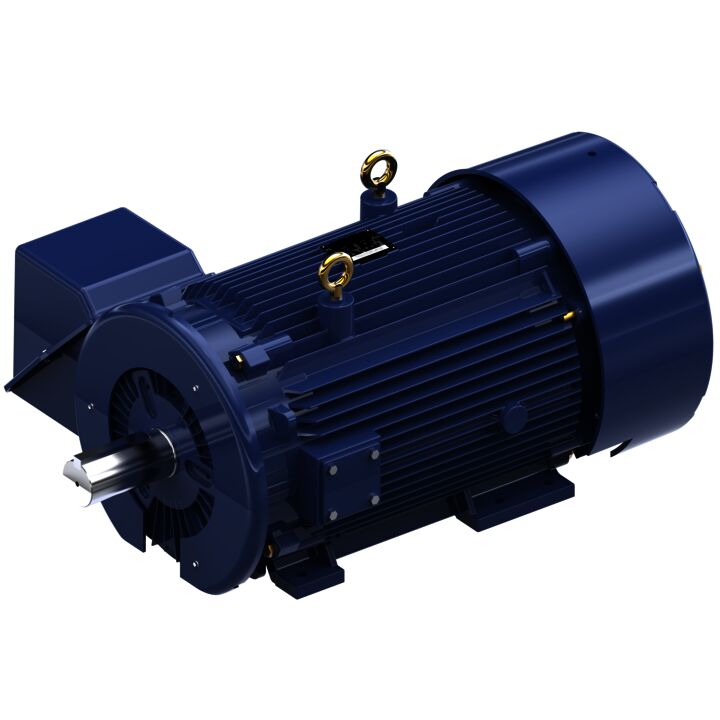 General Purpose Motor, 250 & 200 HP, 3 Ph, 60 & 50 Hz, 460 & 380 V, 900 & 750 RPM, 449TZ Frame, TEFC