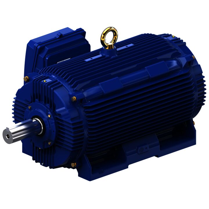 General Purpose Motor, 250 & 200 HP, 3 Ph, 60 & 50 Hz, 460 & 380 V, 1800 & 1500 RPM, 449TV Frame, TEAO