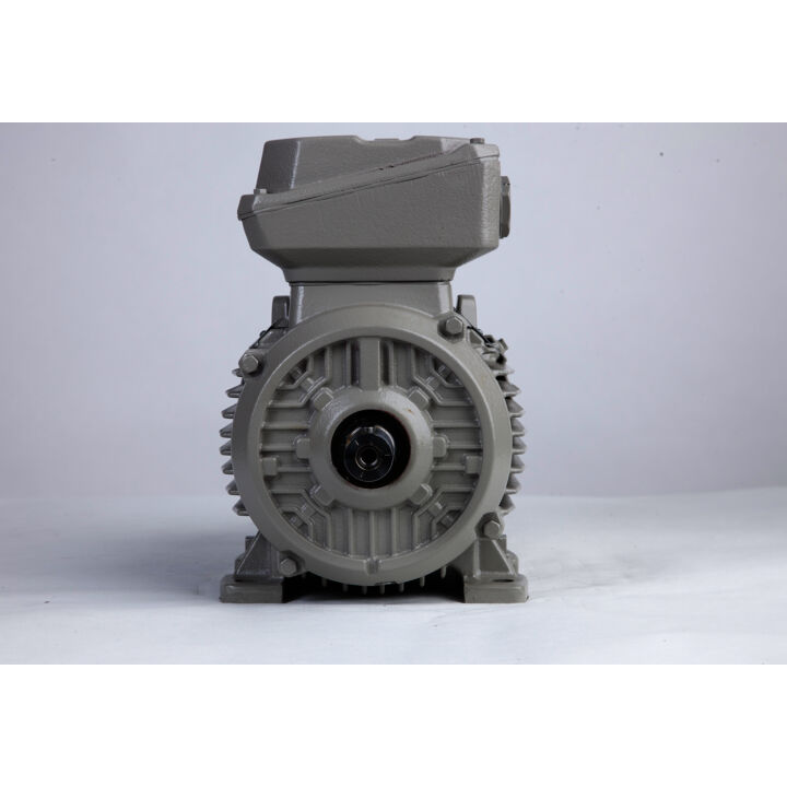 3.00 kW General Purpose Low Voltage IEC Motor IE3, 3 phase, 3000 rpm, D400/Y690V 50Hz, 100L Frame B3, IC411