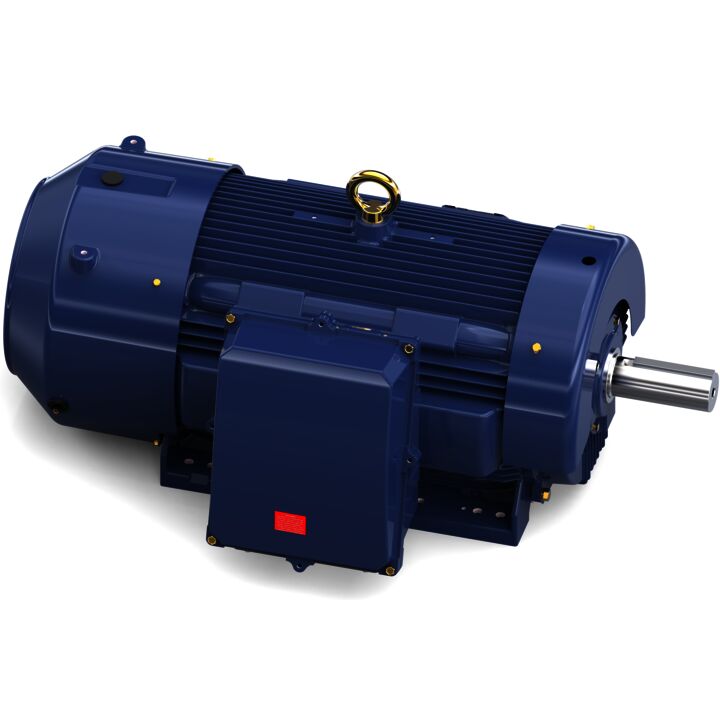 Severe Duty Motor, 300 HP, 3 Ph, 60 Hz, 460 V, 1200 RPM, 449T Frame, TEFC