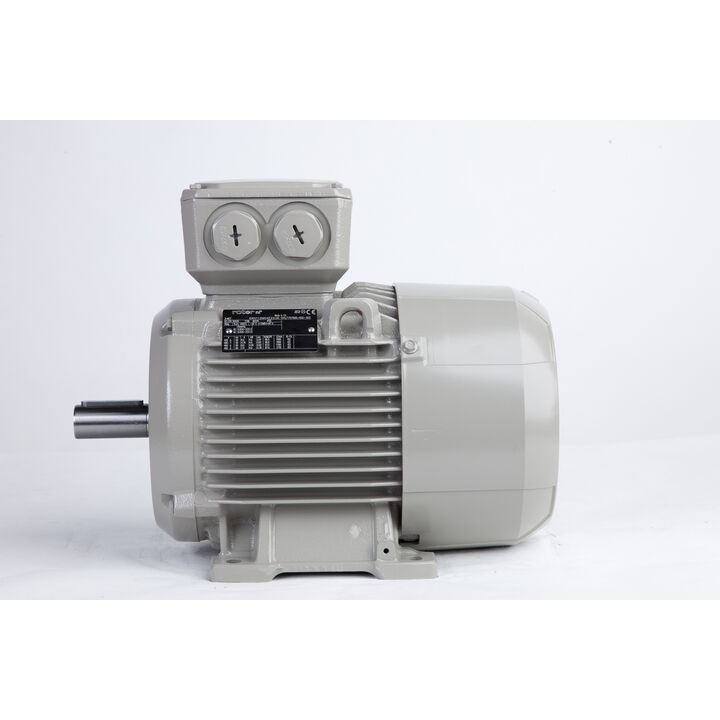 4.00 kW General Purpose Low Voltage IEC Motor IE3, 3 phase, 1500 rpm, D400/Y690V 50Hz, 112M Frame B3, IC411