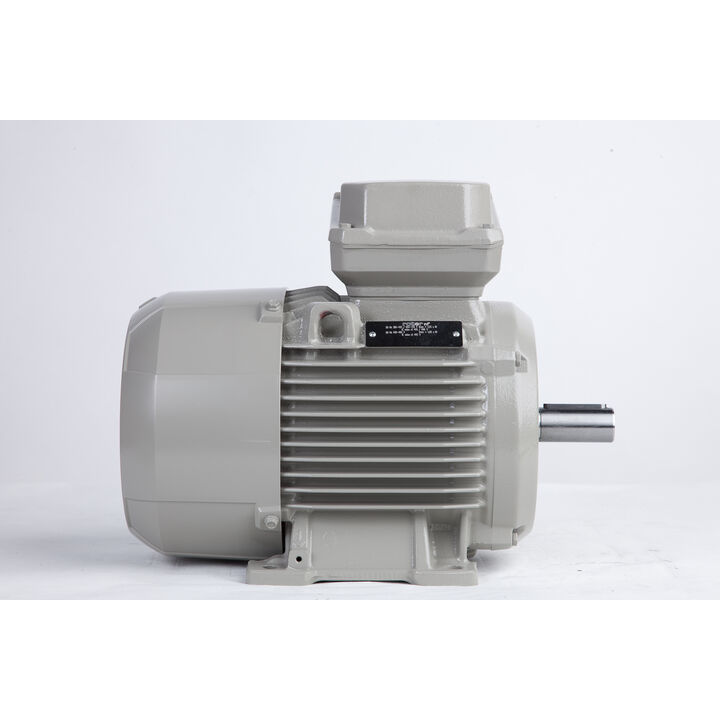 4.00 kW General Purpose Low Voltage IEC Motor IE3, 3 phase, 1500 rpm, D400/Y690V 50Hz, 112M Frame B3, IC411