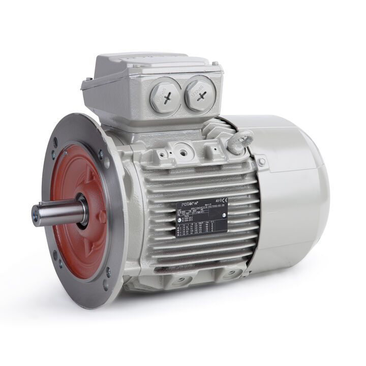 4.00 kW General Purpose Low Voltage IEC Motor IE3, 3 phase, 1500 rpm, D400/Y690V 50Hz, 112M Frame B5, IC411