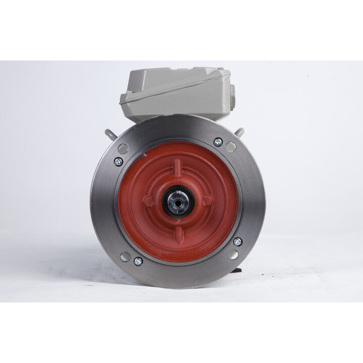 4.00 kW General Purpose Low Voltage IEC Motor IE3, 3 phase, 1500 rpm, D400/Y690V 50Hz, 112M Frame B5, IC411