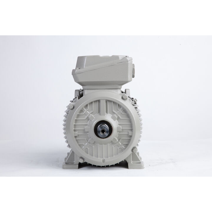 4.00 kW General Purpose Low Voltage IEC Motor IE3, 3 phase, 3000 rpm, D400/Y690V 50Hz, 112M Frame B3, IC411