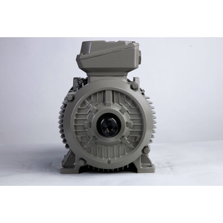 11.00 kW General Purpose Low Voltage IEC Motor IE3, 3 phase, 3000 rpm, D400/Y690V 50Hz, 132M Frame B3, IC411