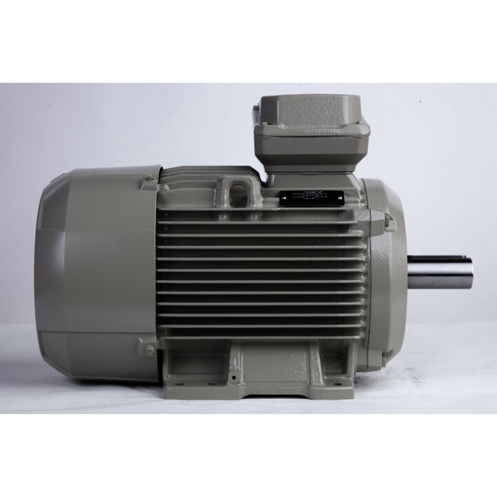 11.00 kW General Purpose Low Voltage IEC Motor IE3, 3 phase, 3000 rpm, D400/Y690V 50Hz, 132M Frame B3, IC411