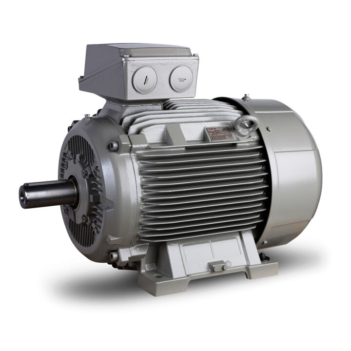 2.20 kW General Purpose Low Voltage IEC Motor IE3, 3 phase, 1000 rpm, D400/Y690V 50Hz, 112M Frame B3, IC411