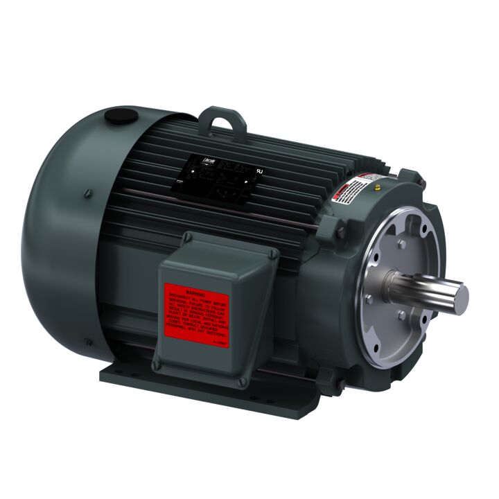 Special Voltage Motor, 15 HP, 3 Ph, 60 Hz, 575 V, 1800 RPM, 254TC Frame, TEFC