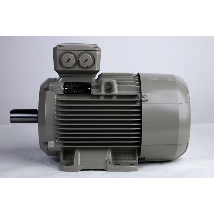 11.00 kW General Purpose Low Voltage IEC Motor IE3, 3 phase, 3000 rpm, D400/Y690V 50Hz, 132M Frame B3, IC411