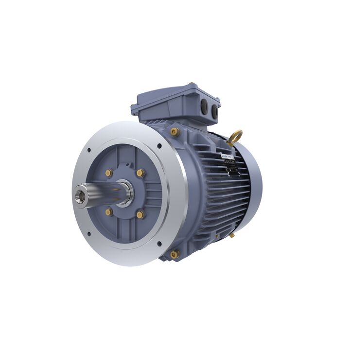 Cast Iron Motor, 15 HP, 3 Ph, 50 Hz, 400 V, 1500 RPM, 160M Frame, TEFC