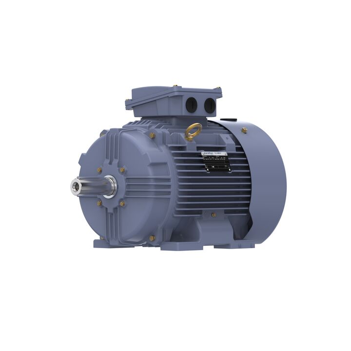 Cast Iron Motor, 15 HP, 3 Ph, 50 Hz, 400 V, 1500 RPM, 160M Frame, TEFC