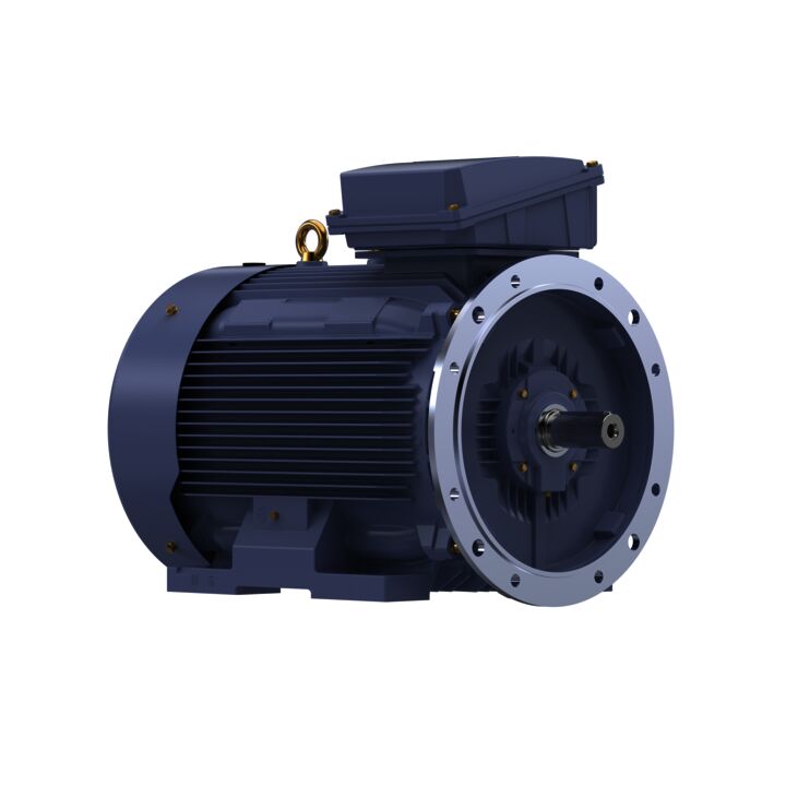 Cast Iron Motor, 270 HP, 3 Ph, 50 Hz, 380 V, 3000 RPM, 315L Frame, TEFC