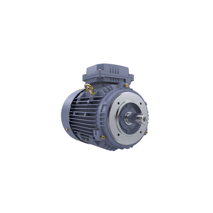 Cast Iron Motor, 4 HP, 3 Ph, 50 Hz, 400 V, 3000 RPM, 100L Frame, TEFC