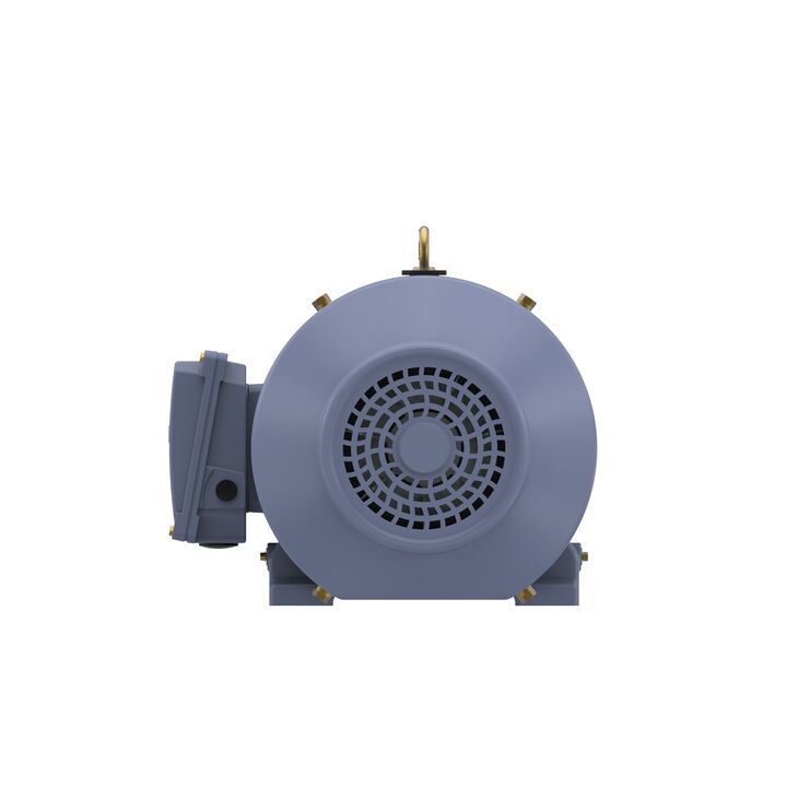 Cast Iron Motor, 15 HP, 3 Ph, 50 Hz, 400 V, 1000 RPM, 160L Frame, TEFC