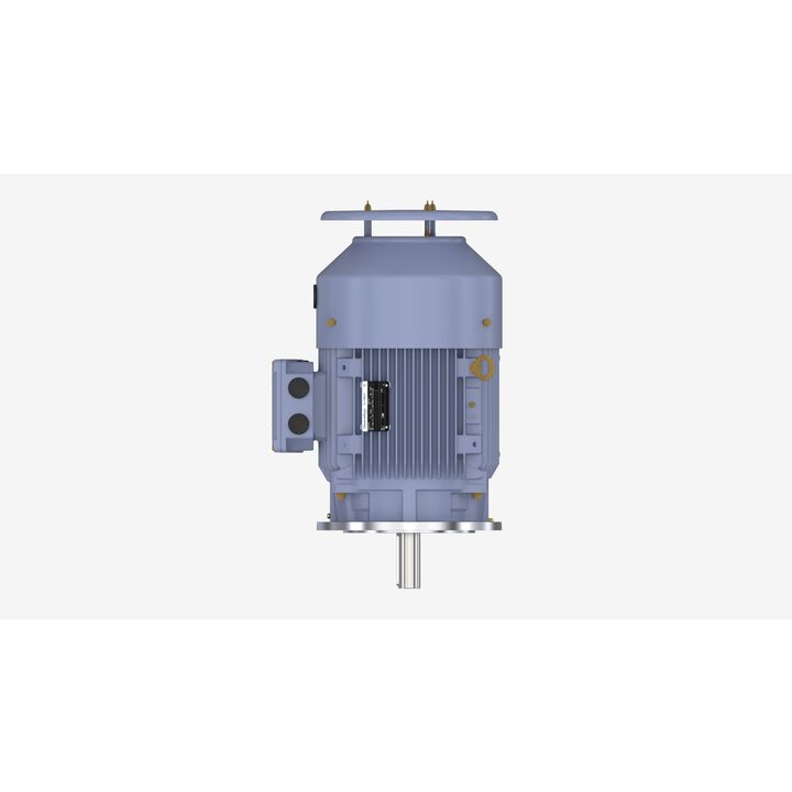 Cast Iron Motor, 15 HP, 3 Ph, 50 Hz, 400 V, 3000 RPM, 160M Frame, TEFC