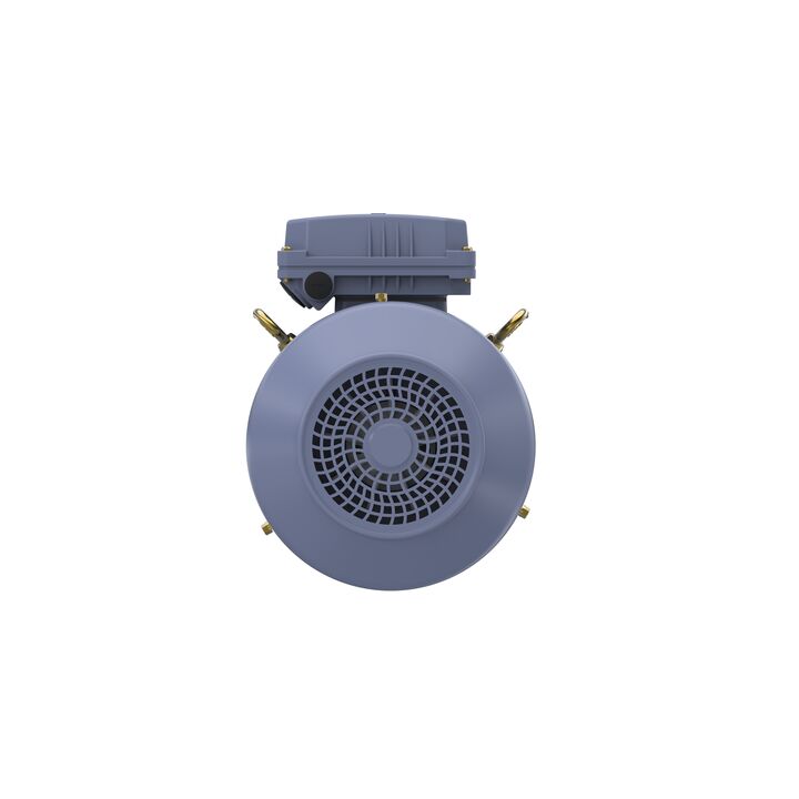 Cast Iron Motor, 4 HP, 3 Ph, 50 Hz, 400 V, 3000 RPM, 100L Frame, TEFC