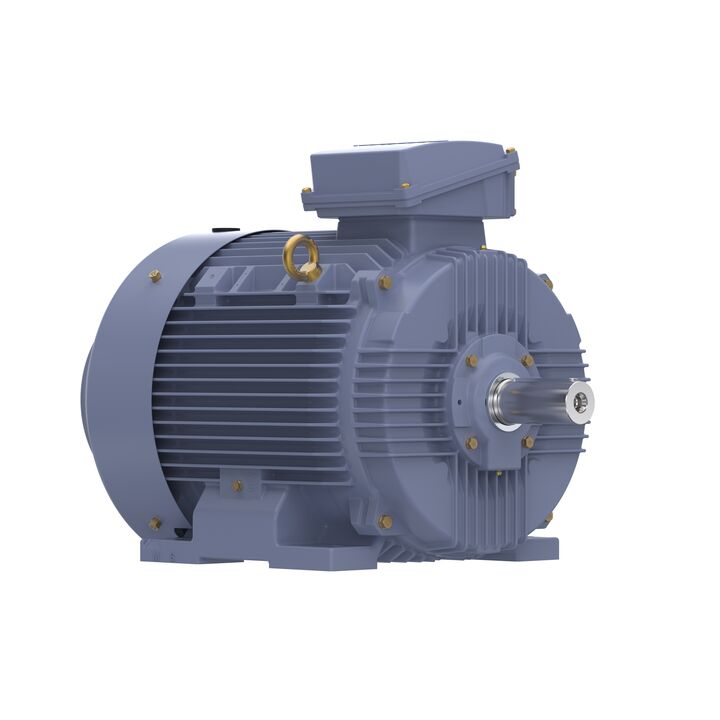 Cast Iron Motor, 75 HP, 3 Ph, 50 Hz, 400 V, 1500 RPM, 250M Frame, TEFC