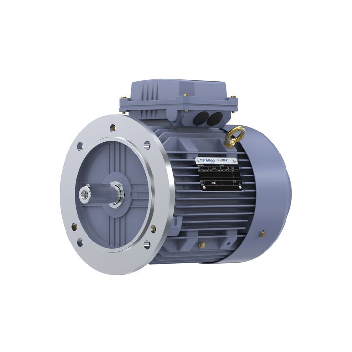 Cast Iron Motor, 1.50 HP, 3 Ph, 50 Hz, 380 V, 1500 RPM, 90S Frame, TEFC