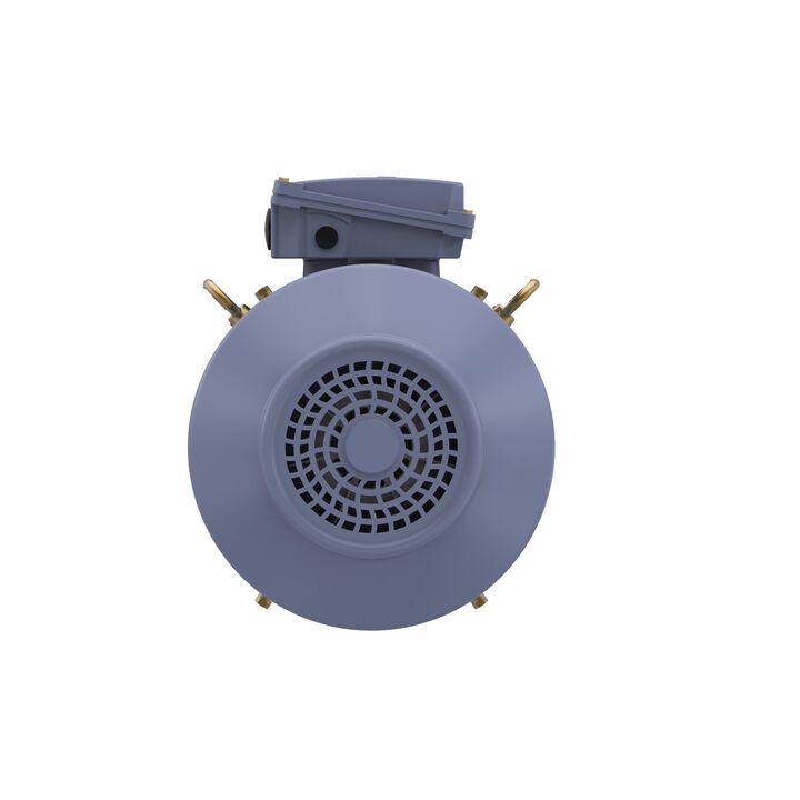 Cast Iron Motor, 15 HP, 3 Ph, 50 Hz, 400 V, 1000 RPM, 160L Frame, TEFC
