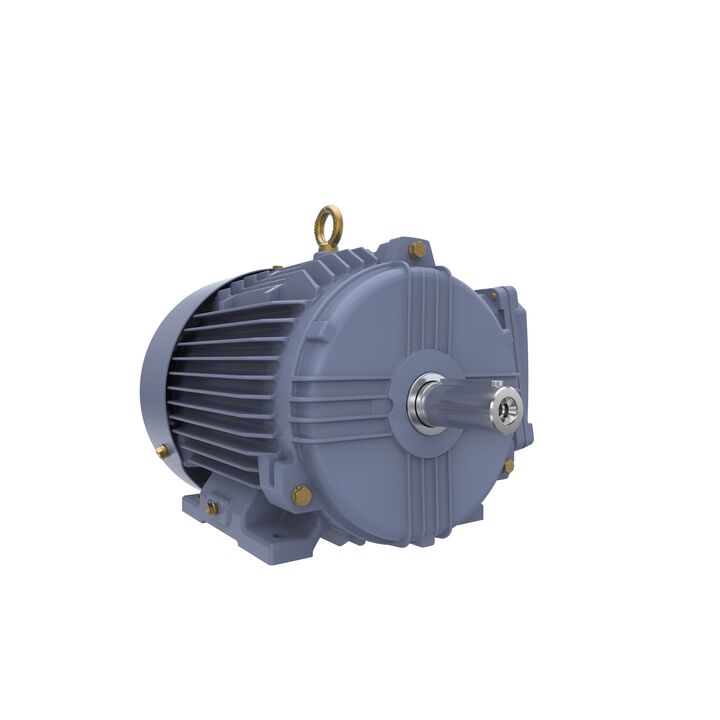 Cast Iron Motor, 4 HP, 3 Ph, 50 Hz, 400 V, 3000 RPM, 100L Frame, TEFC