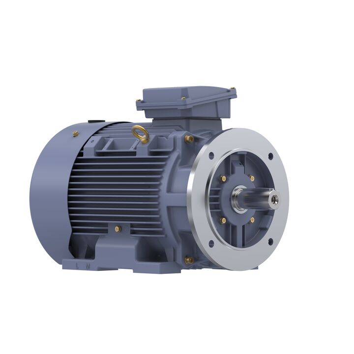 Cast Iron Motor, 15 HP, 3 Ph, 50 Hz, 400 V, 750 RPM, 180L Frame, TEFC