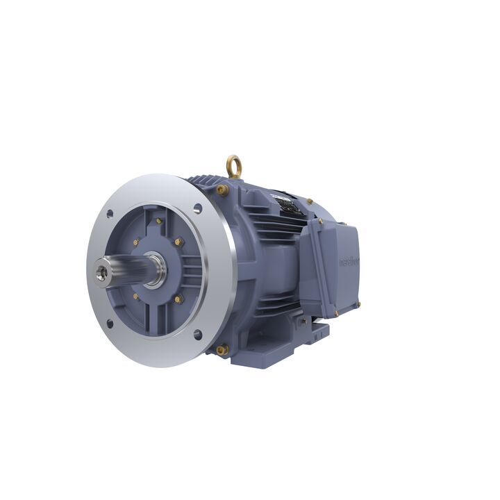 Cast Iron Motor, 15 HP, 3 Ph, 50 Hz, 400 V, 750 RPM, 180L Frame, TEFC