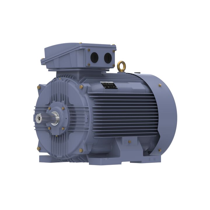 Cast Iron Motor, 150 HP, 3 Ph, 50 Hz, 380 V, 1000 RPM, 315L Frame, TEFC