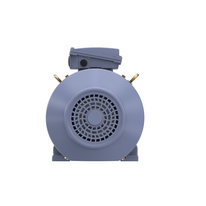 Cast Iron Motor, 15 HP, 3 Ph, 50 Hz, 400 V, 1000 RPM, 160L Frame, TEFC
