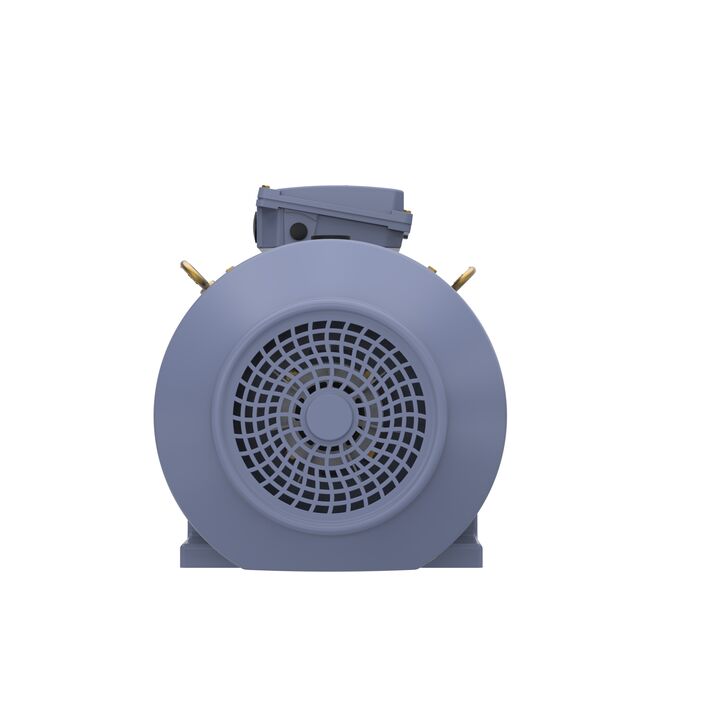 Cast Iron Motor, 15 HP, 3 Ph, 50 Hz, 400 V, 750 RPM, 180L Frame, TEFC