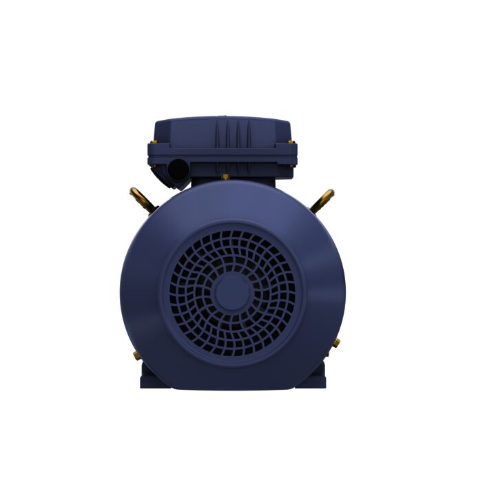 Cast Iron Motor, 2 HP, 3 Ph, 50 Hz, 400 V, 1000 RPM, 100L Frame, TEFC