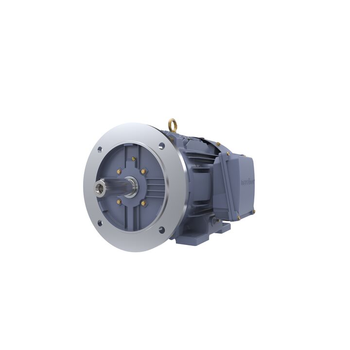 Cast Iron Motor, 15 HP, 3 Ph, 50 Hz, 400 V, 1500 RPM, 160M Frame, TEFC