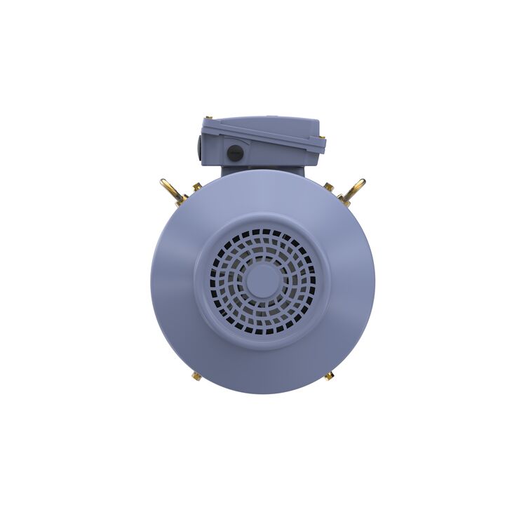 Cast Iron Motor, 15 HP, 3 Ph, 50 Hz, 400 V, 1000 RPM, 160L Frame, TEFC