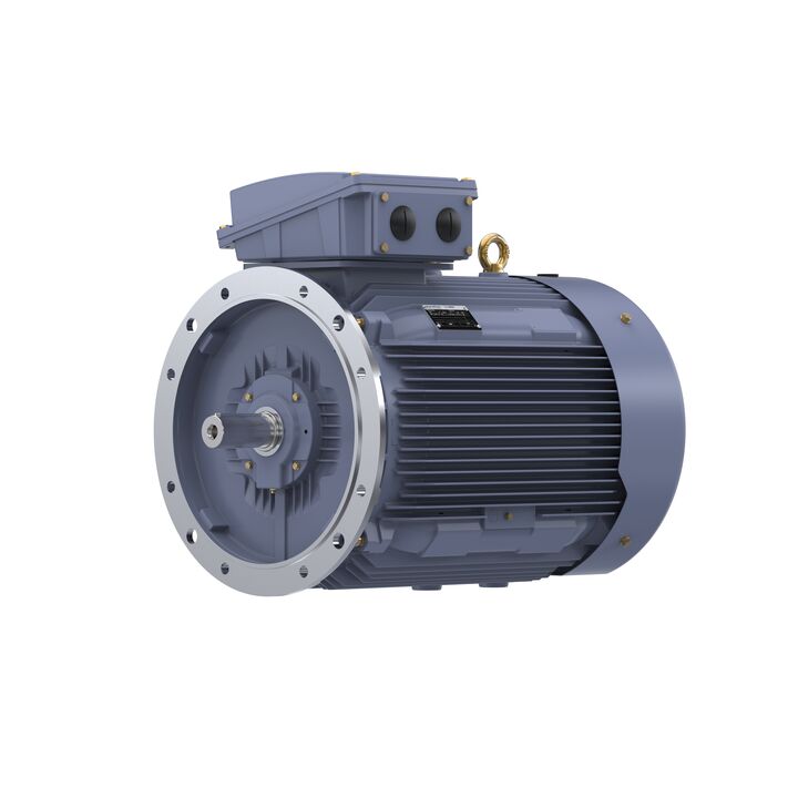Cast Iron Motor, 150 HP, 3 Ph, 50 Hz, 380 V, 1000 RPM, 315L Frame, TEFC