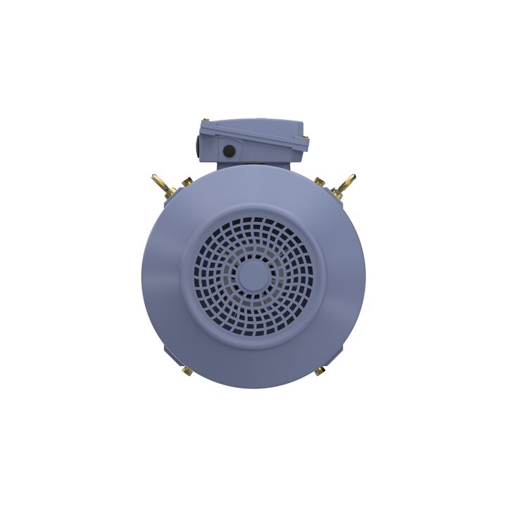 Cast Iron Motor, 15 HP, 3 Ph, 50 Hz, 400 V, 750 RPM, 180L Frame, TEFC
