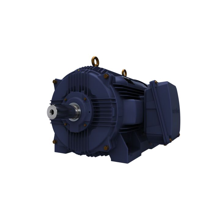 Cast Iron Motor, 270 HP, 3 Ph, 50 Hz, 380 V, 3000 RPM, 315L Frame, TEFC