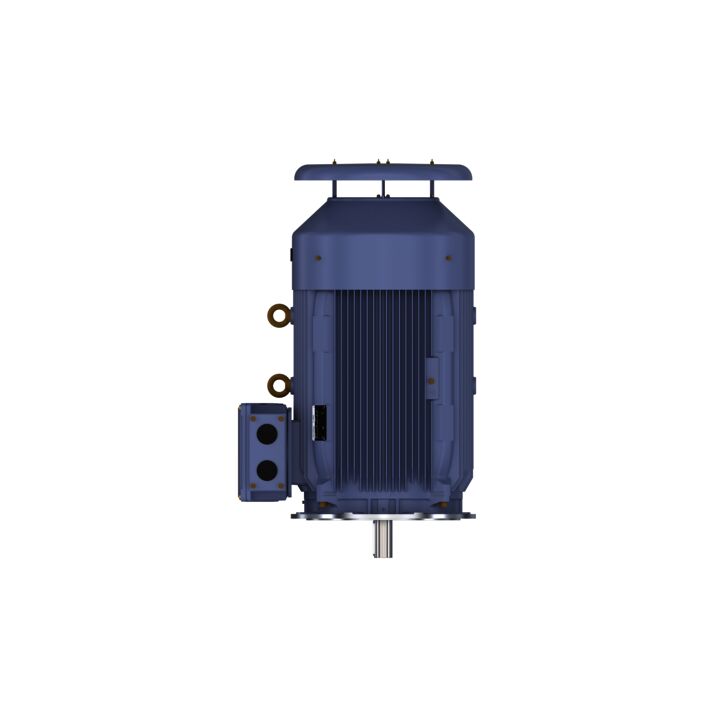 Cast Iron Motor, 270 HP, 3 Ph, 50 Hz, 380 V, 1500 RPM, 315L Frame, TEFC