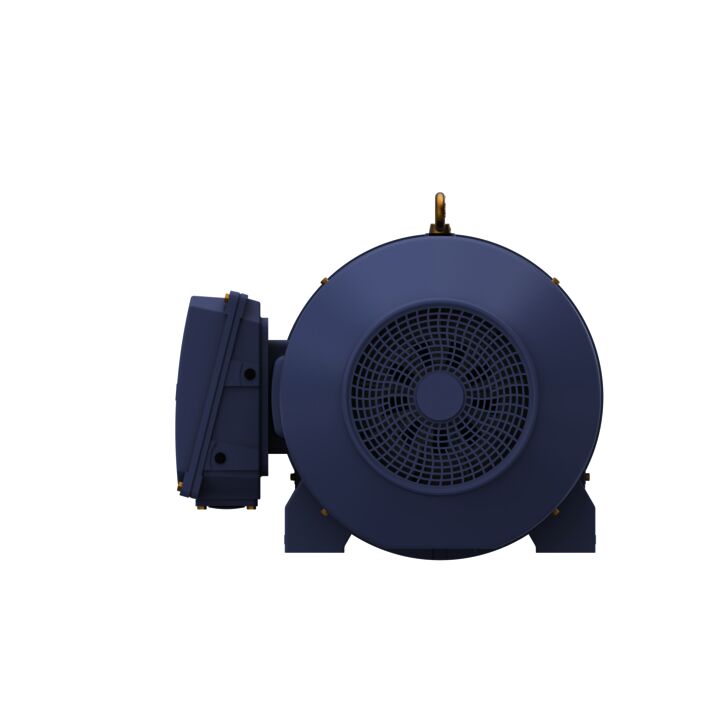 Cast Iron Motor, 270 HP, 3 Ph, 50 Hz, 380 V, 3000 RPM, 315L Frame, TEFC