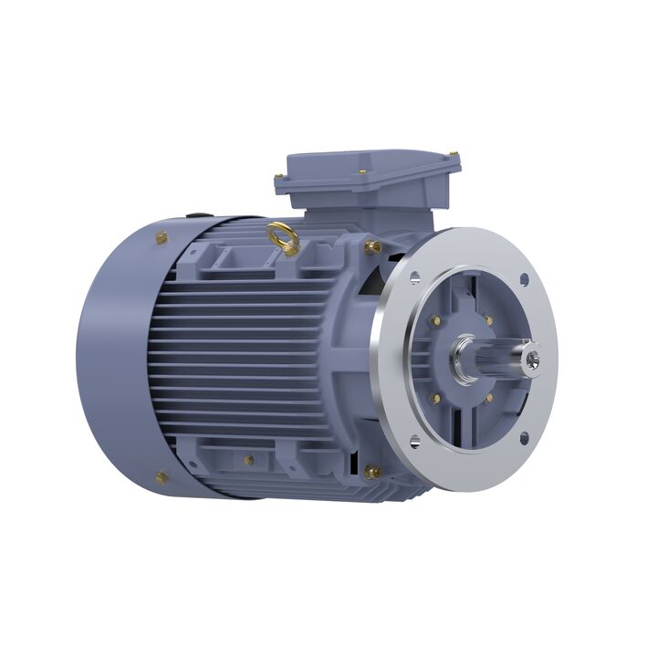 Cast Iron Motor, 15 HP, 3 Ph, 50 Hz, 400 V, 750 RPM, 180L Frame, TEFC
